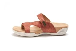 Darline -The Walking Company Shop 1591042292 3610014721017030 4