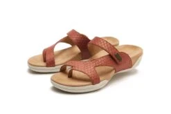 Darline -The Walking Company Shop 1591042296 3610014721017030 5