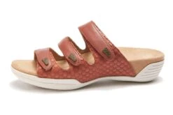 Delight -The Walking Company Shop 1591042721 3610014721016030 4