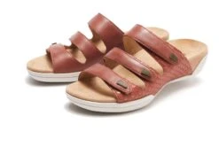 Delight -The Walking Company Shop 1591042724 3610014721016030 5