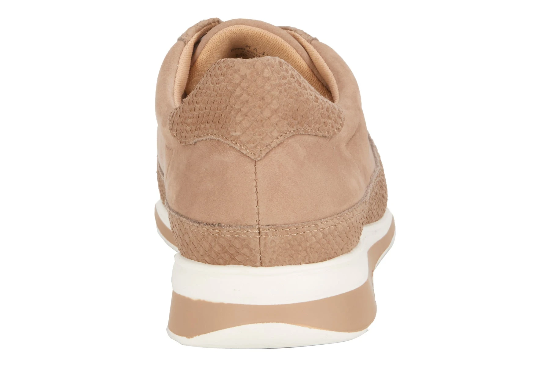 Dylan 8 Dylan - Image 6