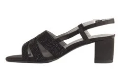 Sparkle -The Walking Company Shop 3610 01394 2318 469 7 cee94b07 014a 4471 89fc c75f81568571