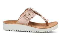 Bayview -The Walking Company Shop 3610 01492 2230 526 5