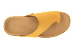 The Walking Company Shop -The Walking Company Shop 3610 02901 1001 430 2