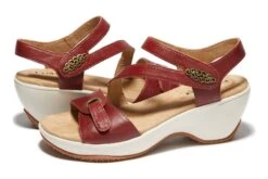 Cindy 10 Cindy -The Walking Company Shop SEH02241 23 1 97487d27 9ed6 4297 b478 fb57562762c4