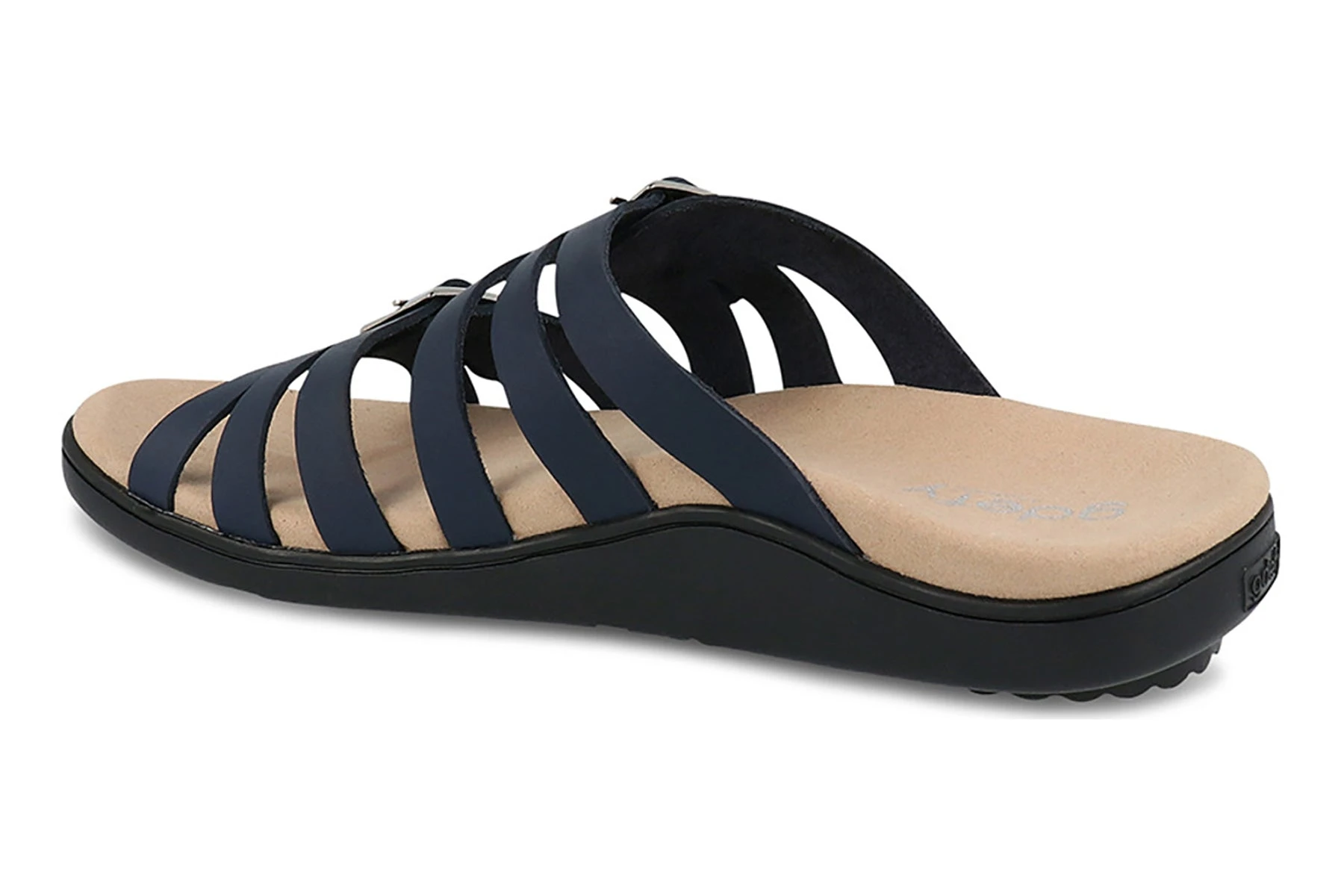 Ortal 6 Ortal - Image 4