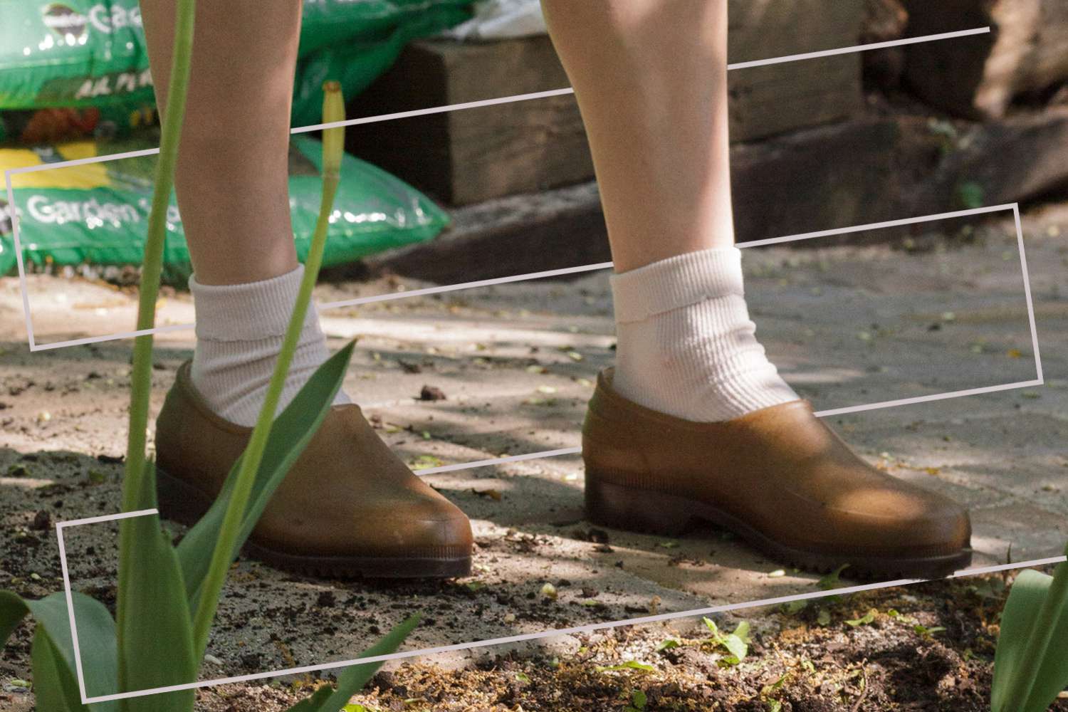 The Walking Company Shop -The Walking Company Shop x 40